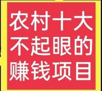 从动化赔本项目将正在我们糊口中饰演越来越主